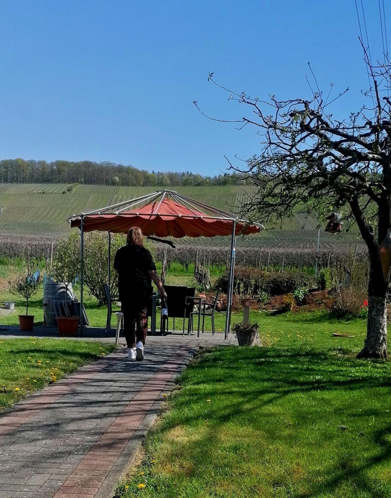 Weingut Tiliahof Bed and Breakfast Brauneberg Buitenkant foto