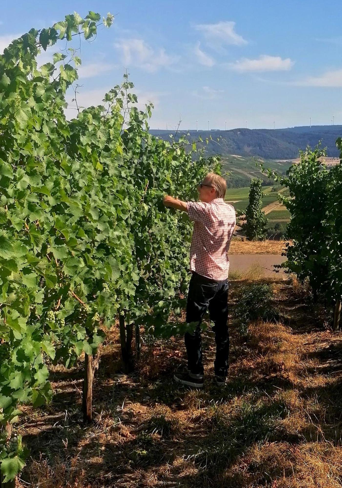 Weingut Tiliahof Bed and Breakfast Brauneberg Buitenkant foto