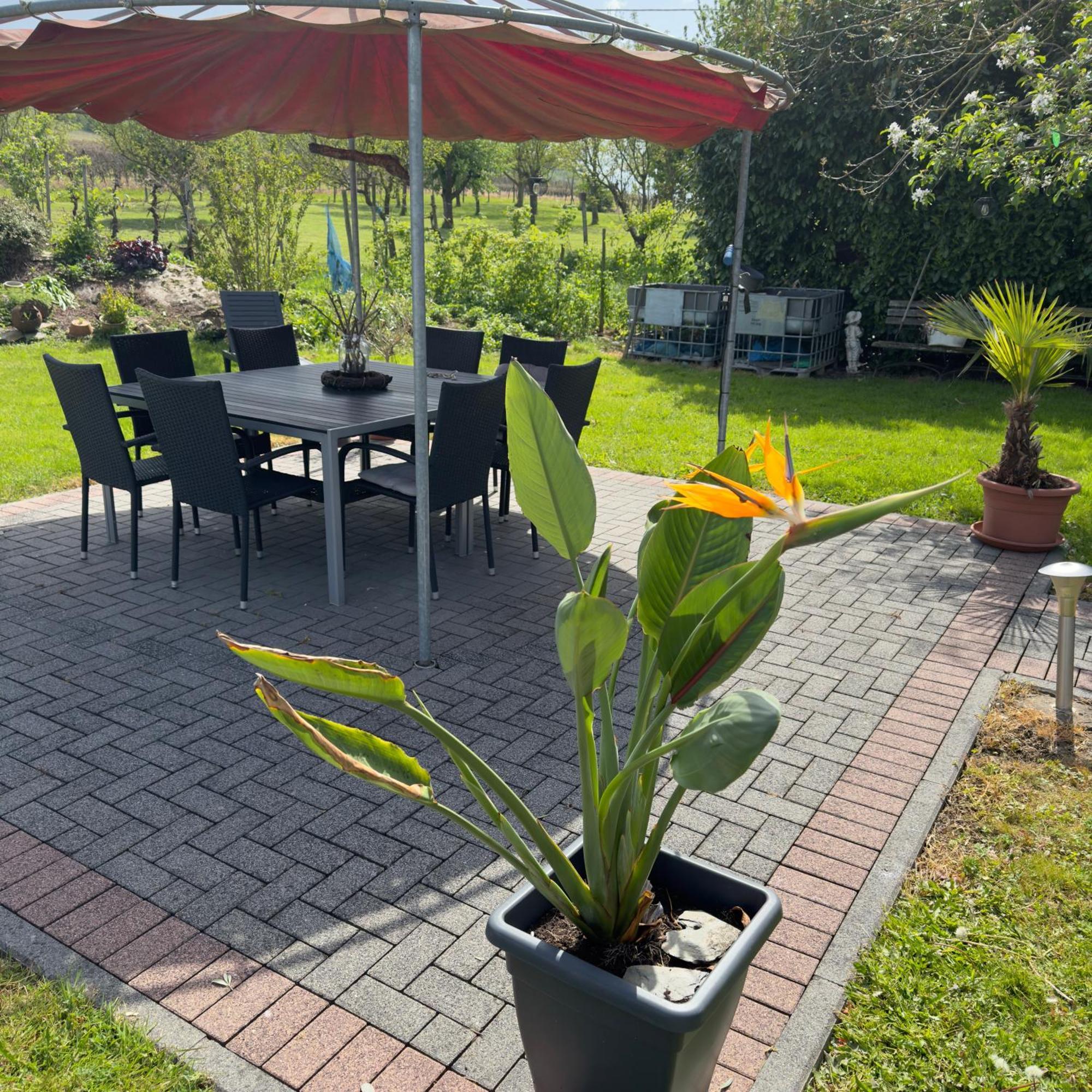Weingut Tiliahof Bed and Breakfast Brauneberg Buitenkant foto