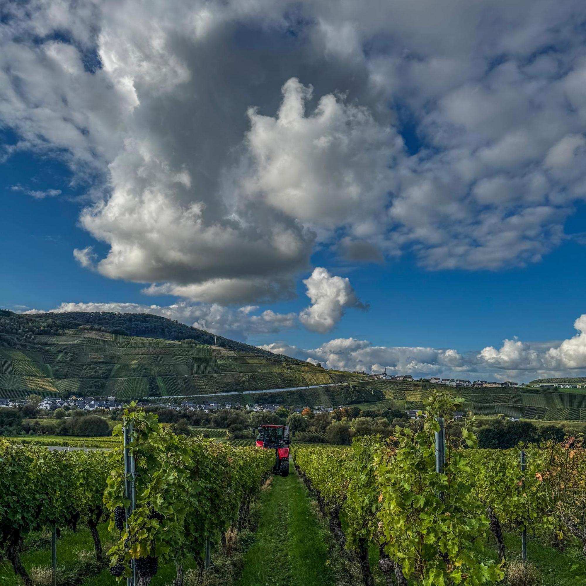 Weingut Tiliahof Bed and Breakfast Brauneberg Buitenkant foto